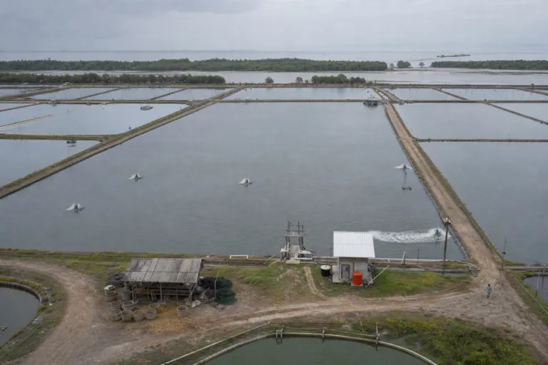Indonesia’s Blue Economy Opportunity: Why Aquaculture and Fisheries Are a Powerful Underused Investment Theme