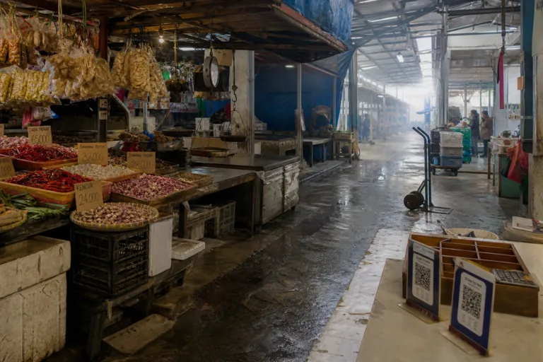 Sizing Hard-to-measure Indonesian Markets: Reliable Methods for Indonesia Market Sizing Research