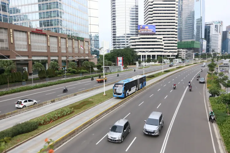Transport & Mobility